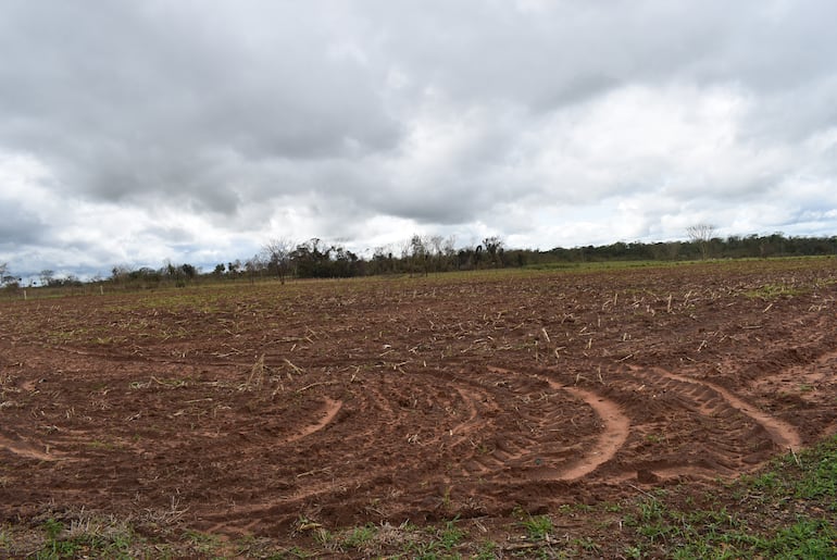 Productores de Santaní afectados por temporal siguen esperando la provisión de semillas y fertilizantes