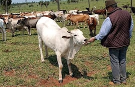 En la ganadería –así como la agricultura– los trabajadores ganan menos del salario mínimo.