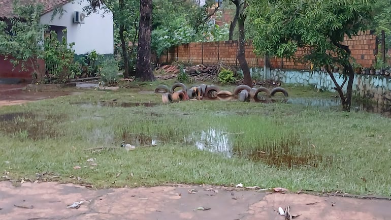 Terreno inundado con charcos, neumáticos apilados y vegetación rodeando un espacio exterior.