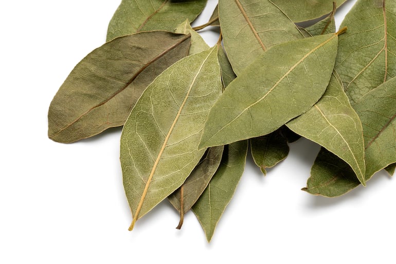 Hojas de laurel.