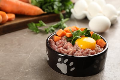 ¿Los huevos son un buen alimento para los perros?