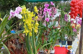 La Expo Flora cautiva a todos con su vibrante muestra de colores y fragancias naturales.