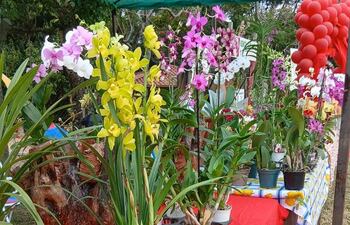 La Expo Flora cautiva a todos con su vibrante muestra de colores y fragancias naturales.
