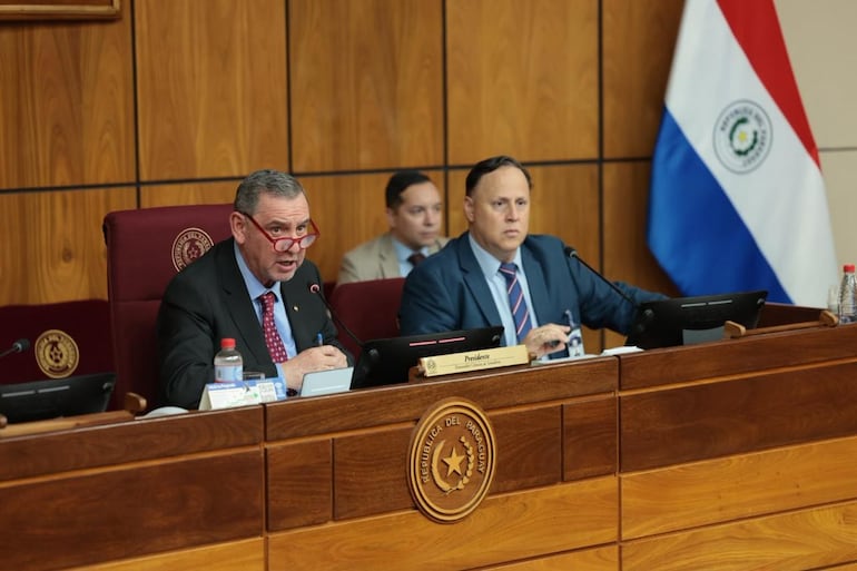 Javier Zacarías Irún, senador cartista y Humberto Fernández, Director de la Comisión de Asuntos Constitucionales. Foto gentileza del Senado.