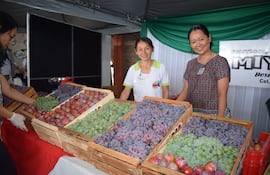Productores se preparan para la gran muestra que arranca mañana en la Asociación Japonesa.