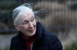 La primatóloga británica y embajadora de paz de la ONU Jane Goodall, reconocida mundialmente como la mayor autoridad en chimpancés, posa para una fotografía el 18 de enero de 2018 en París.