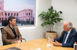 Defensa