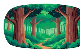 Día Internacional de los Bosques