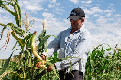160 familias agrícolas mejoran su productividad con prácticas regenerativas.