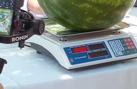 Con el objetivo de incentivar a los productores locales, la Municipalidad de Pilar celebró el tercer concurso de la sandía en la Plaza de los Héroes.