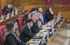 Representantes de la ANDE en la audiencia pública convocada por el diputado Raúl Benítez.