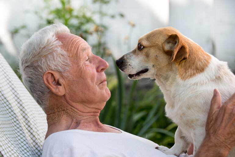 Mirada entre un perro y su humano.
