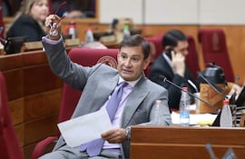 Silvio Beto Ovelar, durante la sesión en la que se aprobó una reforma a la ley de jubilaciones públicas