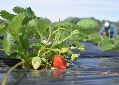 /pf/resources/images/abc-placeholder.png?d=2393