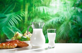 Leche, uvas y panificados.