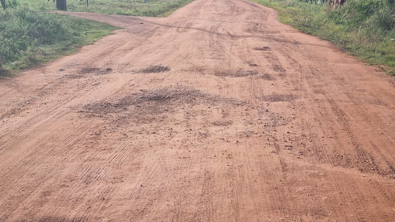 Camino de tierra con charcos y marcas de llantas, rodeado de vegetación rural en San Cristóbal.