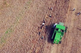 El rendimiento medio de la soja fue alto, 2.960 kilogramos por hectárea en la zafra 2019/2020.