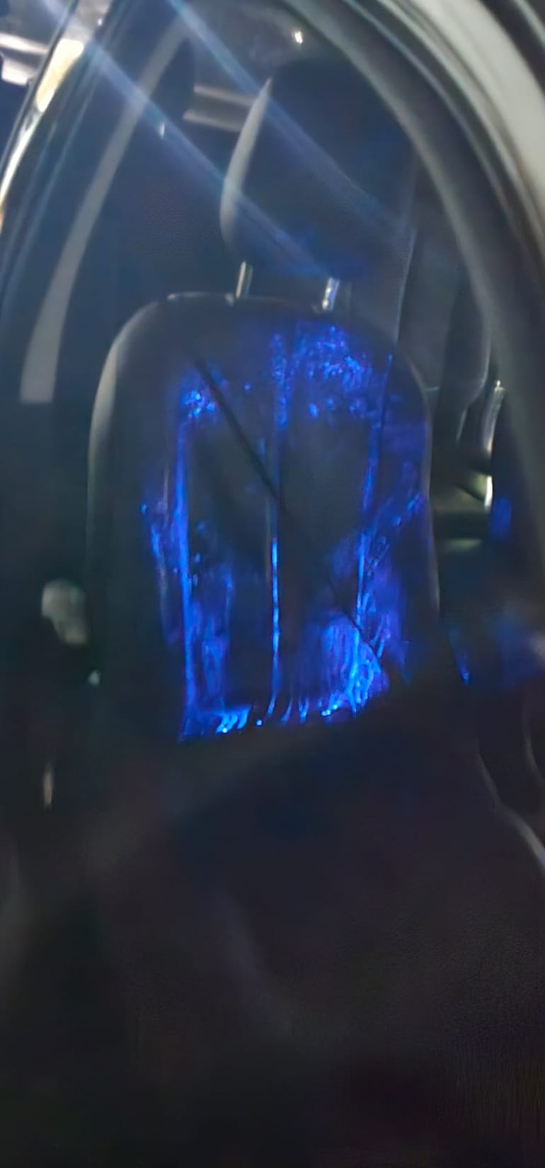 Así son los rastros de sangre hallados en la camioneta de Kanazawa