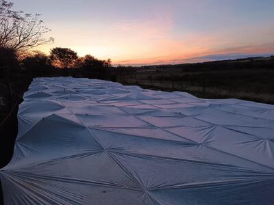 En Caaguazú, varios productores reportaron heladas este fin de semana.