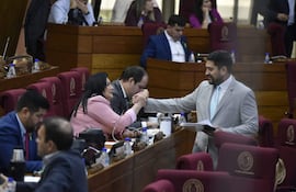 Mauricio Espínola en traje claro y corbata saluda a María Constancia Benítez con vestido rosa, ambos sonriendo en un recinto legislativo.