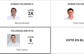 Marcos Benitez, Elvio Castro y Roly Gaona se presentan con expresiones de confianza en un fondo blanco, luciendo información electoral.