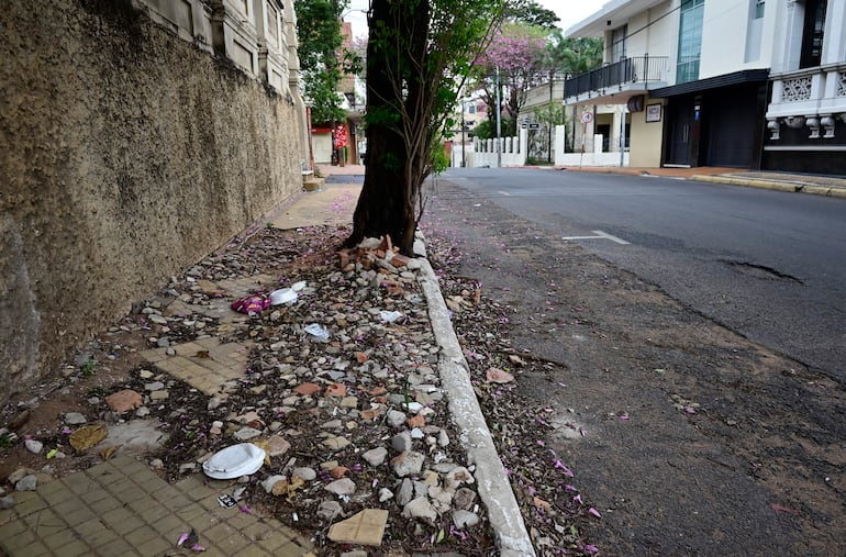 Calle en Asunción con aceras en mal estado, escombros y edificios de estilo clásico al fondo entre árboles y flores.