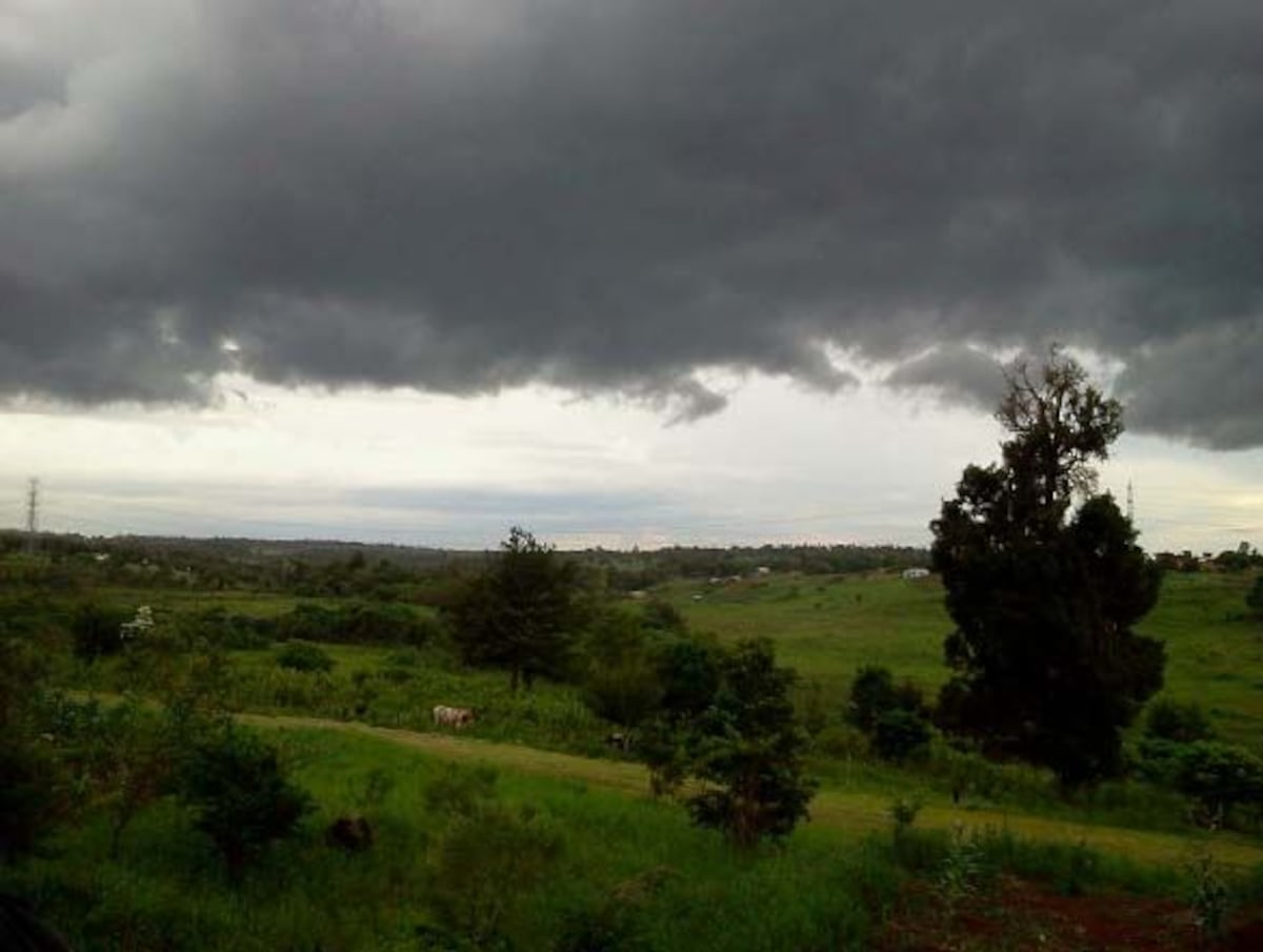 Tormentas y granizo en Paraguay: siete departamentos en alerta este sábado Tormentas y granizo en Paraguay: siete departamentos en alerta este sábado