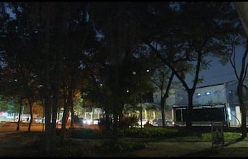 Parque iluminado tenuemente, con árboles altos enmarcando una escena tranquila y sin personas visibles.