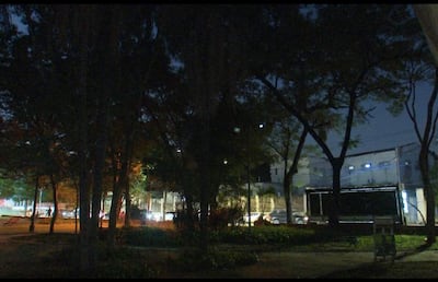 Parque iluminado tenuemente, con árboles altos enmarcando una escena tranquila y sin personas visibles.