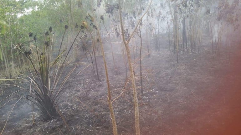 Paisaje de Fuerte Olimpo con terreno negro y plantas quemadas, con humo elevándose del área afectada por el fuego.