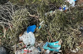 Un vertedero clandestino en cercanías del depósito de Aseo Urbano.