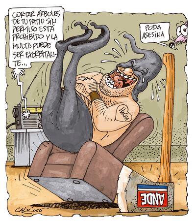 PODA