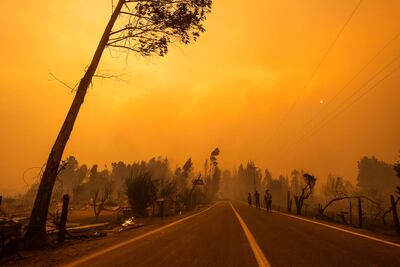 Fotografía de un sector incendiado en Chile en febrero de este año.