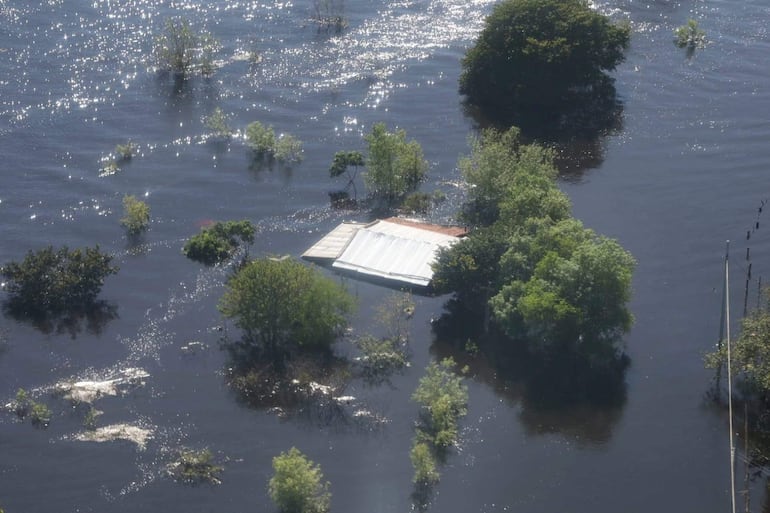 Paisaje inundado en Cerrito, con un techo de chapa blanca parcialmente sumergido, rodeado de vegetación emergente sobre el agua.