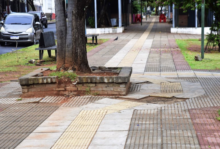 Recapado avenida Quinta 10/10/24