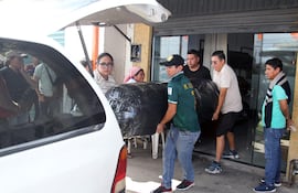 Asesinan a magistrado de máximo tribunal medioambiental de Bolivia.