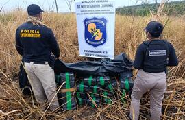 Incautan casi 300 kilos de marihuana prensada en Canindeyú.