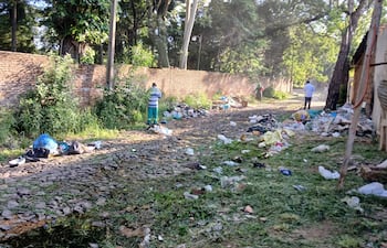 Trabajadores de Senepa y la Municipalidad de Lambaré, en una minga ambiental esta mañana.