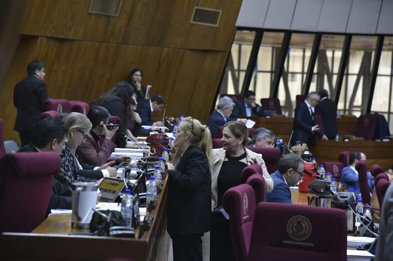 ¡Atención, sesenta y cincoañero al volante!: Diputados sanciona ley y pasa al Ejecutivo