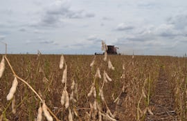 Los productores están haciendo su parte, que es cosechar la soja; las estadísticas hablan de que se superará la zafra 2018/2029 que llegó a 8,5 millones de toneladas.