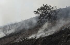 Superficie calcinada por el incendio forestal que se declaró este miércoles en Villaverde de los Cestos, en el municipio de Castropodame (León), España.