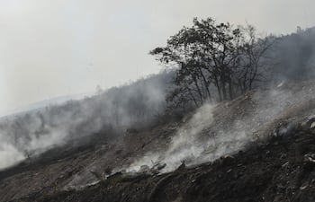 Superficie calcinada por el incendio forestal que se declaró este miércoles en Villaverde de los Cestos, en el municipio de Castropodame (León), España.