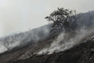 Superficie calcinada por el incendio forestal que se declaró este miércoles en Villaverde de los Cestos, en el municipio de Castropodame (León), España.