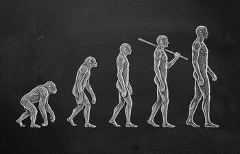 La imagen muestra la evolución humana representada como una secuencia de cinco figuras, dibujadas con tiza blanca sobre un fondo oscuro que se asemeja a una pizarra. Imagen generada con IA.