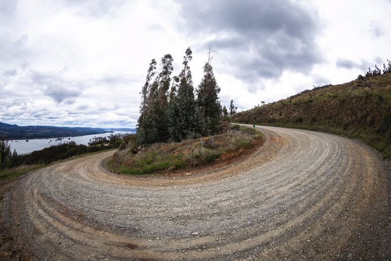 Así se presentarán los caminos en esta cuarta edición del rally chileno que será un gran desafío.
