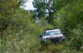 En estas condiciones, con un verde imponente, se encuentra actualmente alguno de los sectores que formarán parte de la tradicional prueba chaqueña.