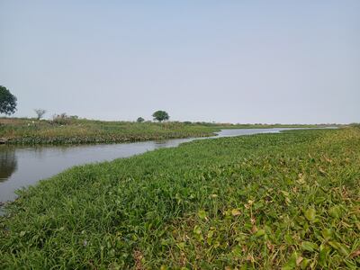 El riacho Barrero, en Fuerte Olimpo, que era navegado por embarcaciones de pasajeros y cargas. Actualmente está a punto de secarse.