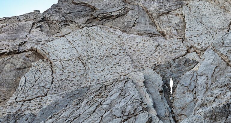 En el Parque Nacional de Stelvio, en los Dolomitas italianos, se ha descubierto lo que todos llaman ya el "valle de los dinosaurios": miles de huellas fósiles estampadas en las paredes verticales inaccesibles de la montaña por los llamados 'prosaurópodos', dinosaurios herbívoros de cuello largo que poblaron estas zonas hace 210 millones de años, en el Triásico Tardío.