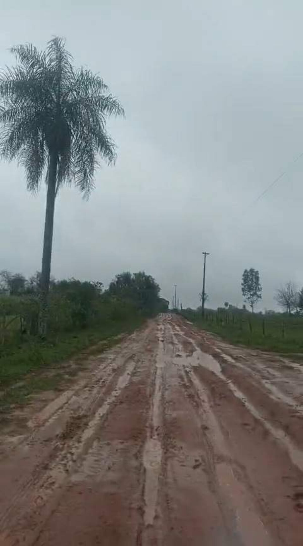 Misiones: camino vecinal entre Santa María y San Juan, en pésimo estado