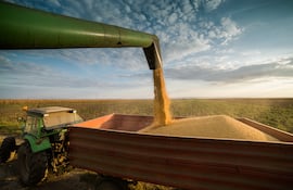 Granos y cultivos de soja